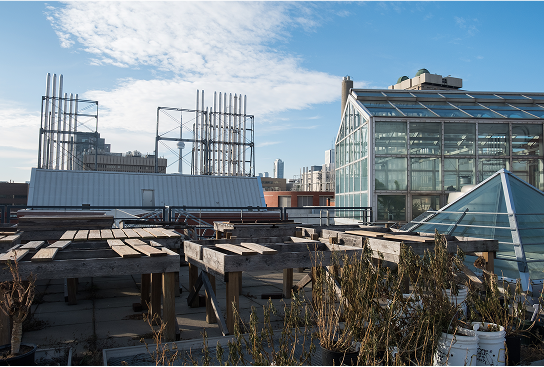 The view from the Earth Sciences Centre